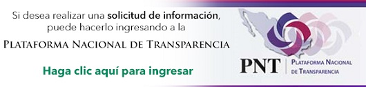 Haga clic aquí para dirigirse a la Plataforma Nacional de Transparencia y poder realizar una solicitud de información pública.